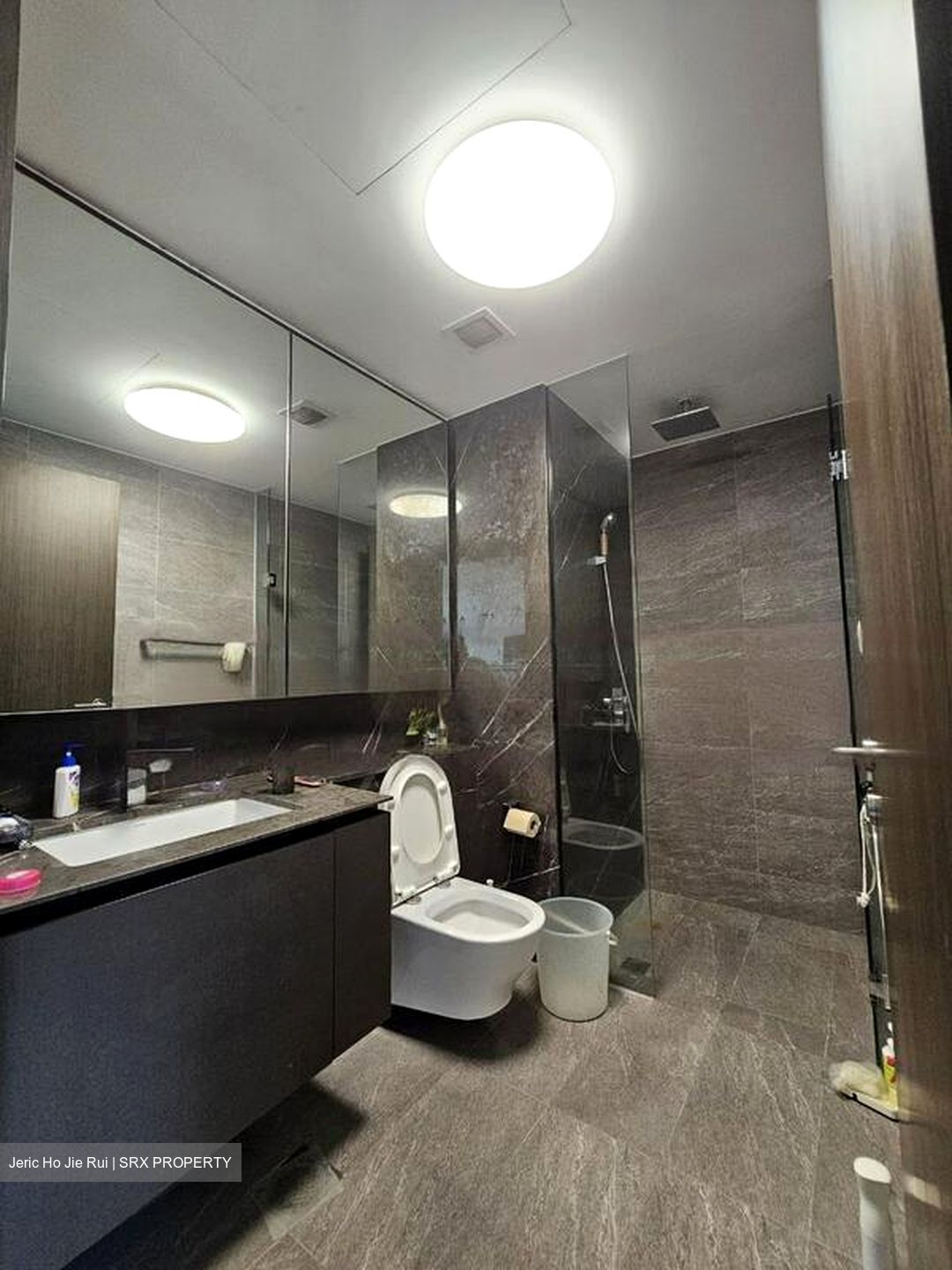 Thomson Impressions (D20), Apartment #465947821